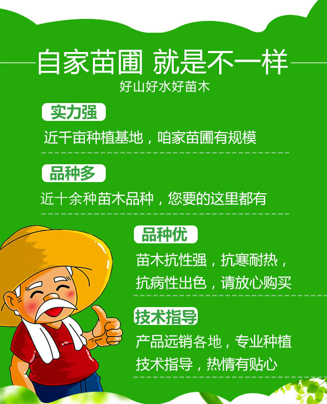 首頁