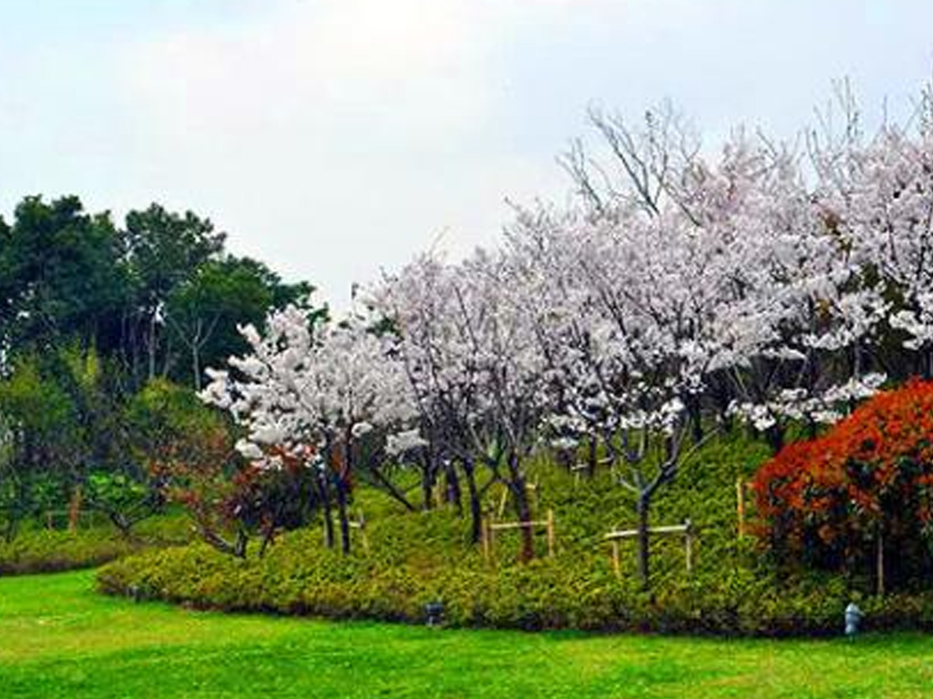 新疆東天山生態開啟“美顏”模式 